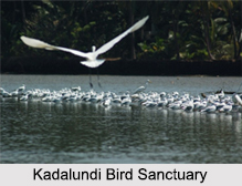 Bird Sanctuaries in Kerala