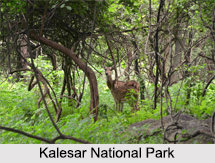 National Parks of Haryana