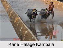 Kambala, Buffalo Race, Karnataka
