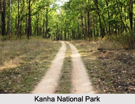 National Parks in Madhya Pradesh