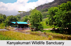 Wildlife Sanctuaries of Tamil Nadu