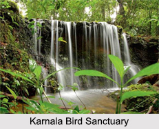 Bird Sanctuaries of Maharashtra