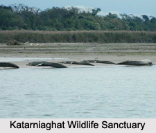 Wildlife Sanctuaries of Uttar Pradesh