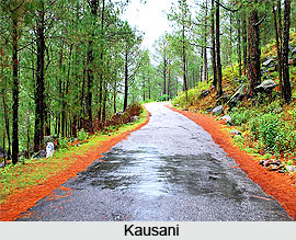 Excursion Points in Nainital