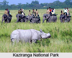 Tourism in Tezpur, Assam