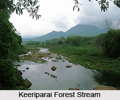 Vattaparai Falls, Tamil Nadu