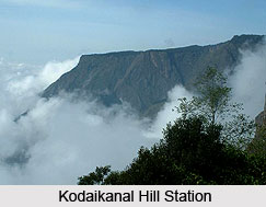 Nilakkottai, Dindigul, Tamil Nadu