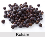 Fruits Type Spices, Indian Spices