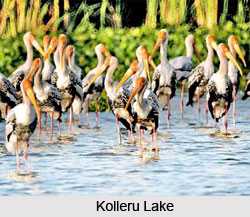 Places Of Pilgrimage along River Godavari, Indian River