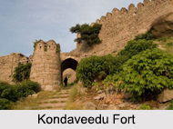 Forts in Telangana, Indian Monuments