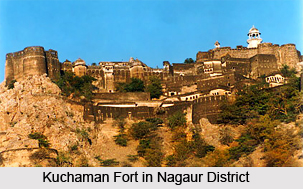 Economy of Nagaur District, Rajasthan
