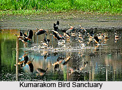 Tourism of Vembanad Lake