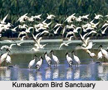 Tourism in Kottayam, Kerala