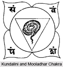 Exercises for Mooladhara Chakra