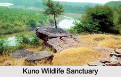 Wildlife Sanctuaries of Central India