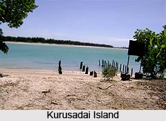 Kurusadai Islands, Tamil Nadu