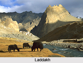 Hilly and Forest areas, Indian Sub Continent
