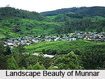 Visiting Places In and Around Munnar