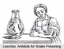 Developments in Pre-Alexandrian Greek Medicine, Primitive Medicinal Practices in India