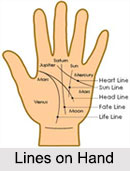 Hand, Palmistry
