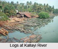 Kallayi River