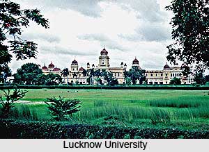 IIMs in India, Higher Education