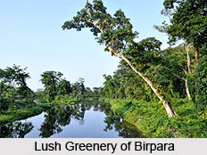 Birpara, Alipurduar District, West Bengal