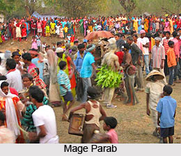 Festivals of Munda Tribe