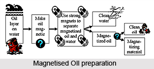 Magnetized Oils