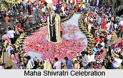 Delhi Temple Festivals