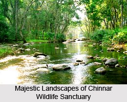 Chinnar Wildlife Sanctuary, Idukki District, Kerala