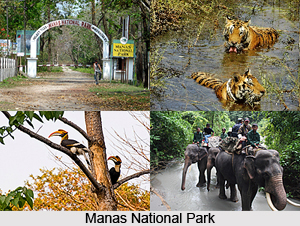 Manas River
