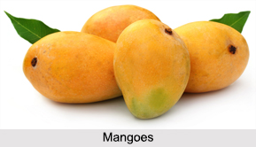 Indian Fruits