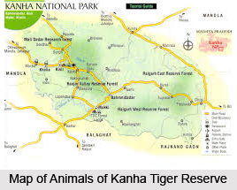 Kanha Tiger Reserve