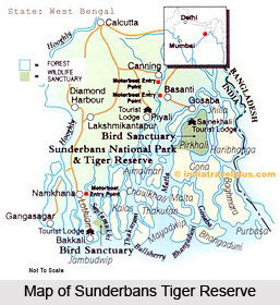 Sundarbans Tiger Reserve