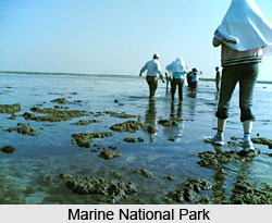 Marine National Park