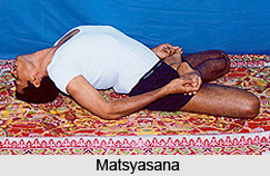 Asanas in Hatha Yoga