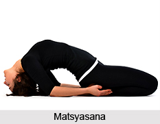 Yoga for Obesity, Yoga and Health