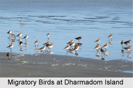 Dharmadom, Kannur, Kerala