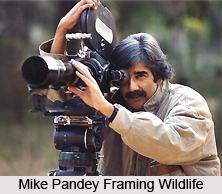 Mike Pandey, Indian Conservationist