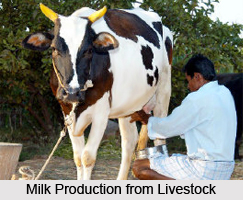 Livestock in India, Animal Husbandry in India