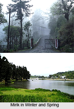 Darjeeling, Indian Hill Station