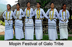 Galo Tribe, Tribes of Arunachal Pradesh