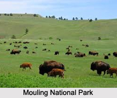 National Parks of Arunachal Pradesh