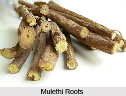 Liquorice-Mulethi, Indian Herb