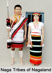 Tribes of Nagaland