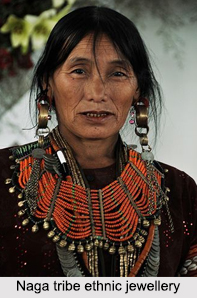 Naga Tribe, Indian Tribals