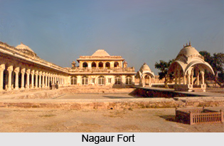 Nagaur District, Rajasthan
