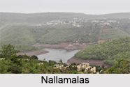 Hill Stations of Andhra Pradesh