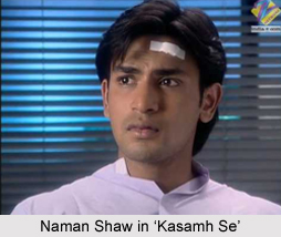 Naman Shaw, Indian Television Actor